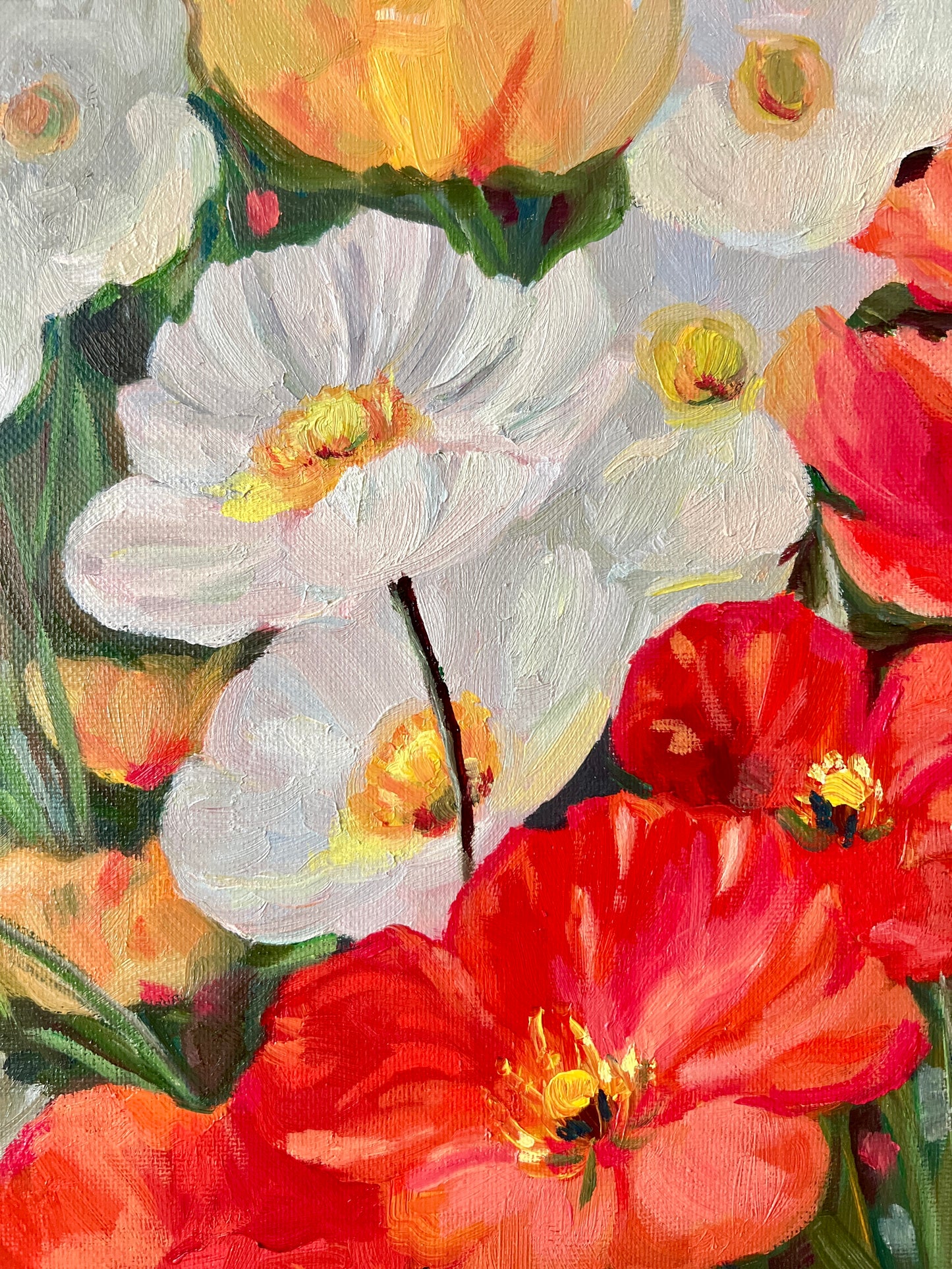 Red & White Iceland Poppies – Vibrant Floral Oil Painting- 8x10