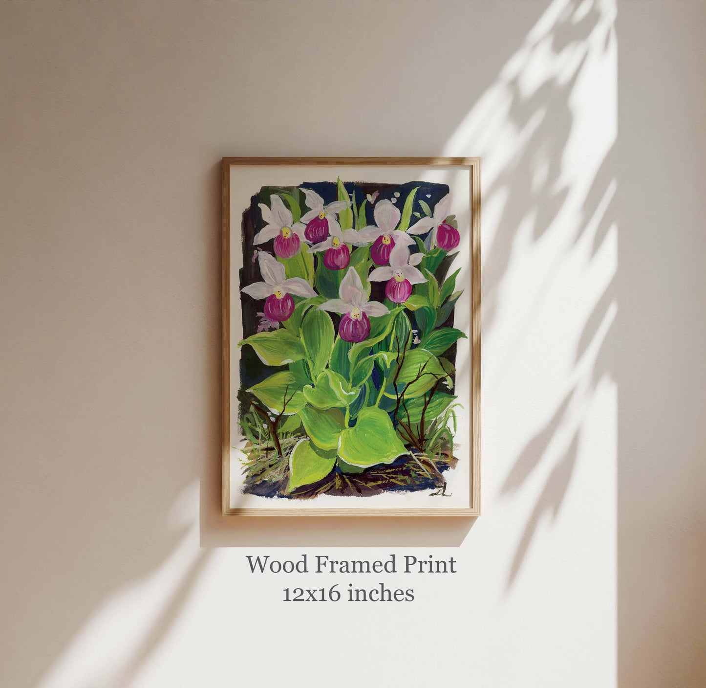 Pink Lady Slipper Orchid Art Print – Wildflower Series