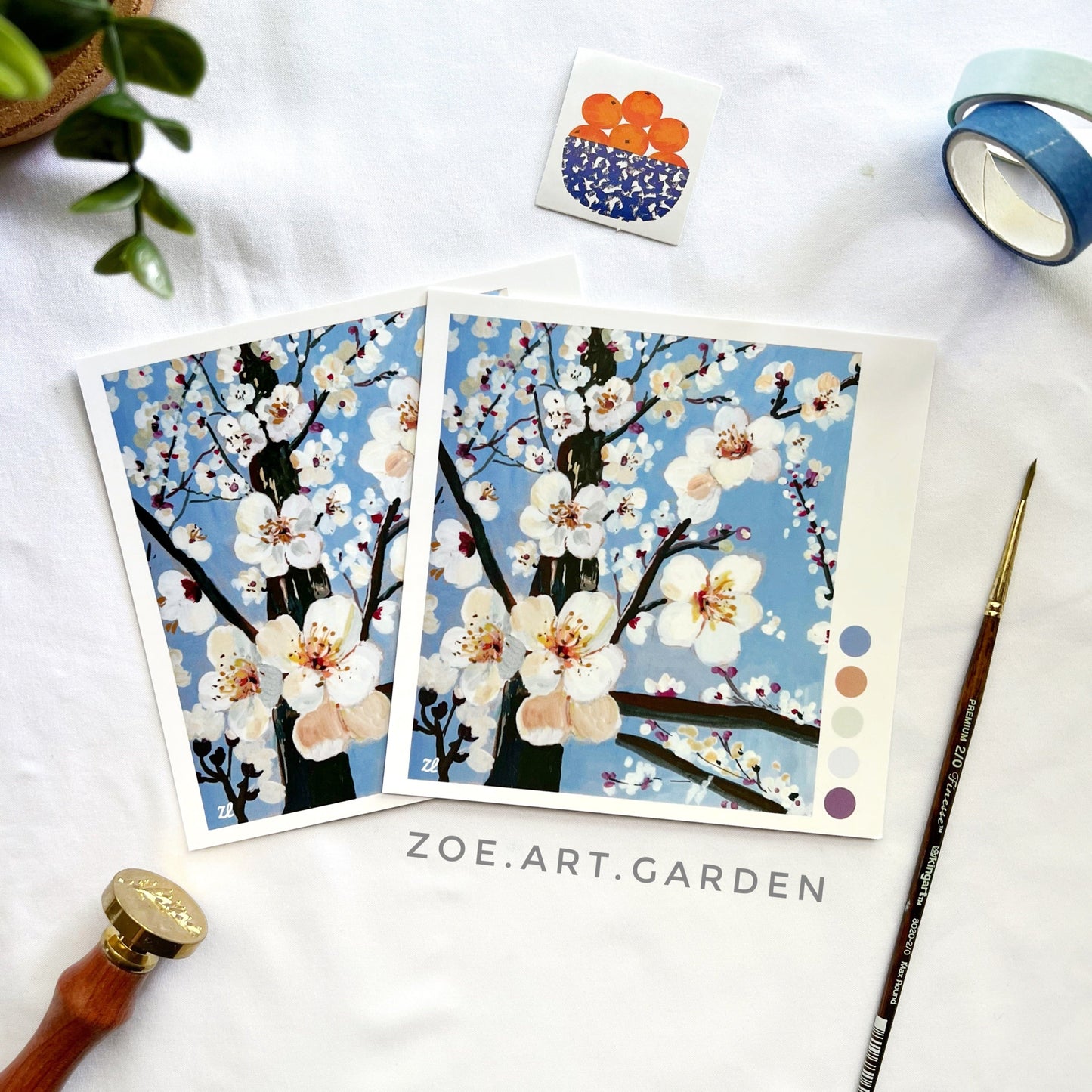 Cherry Blossom square postcards