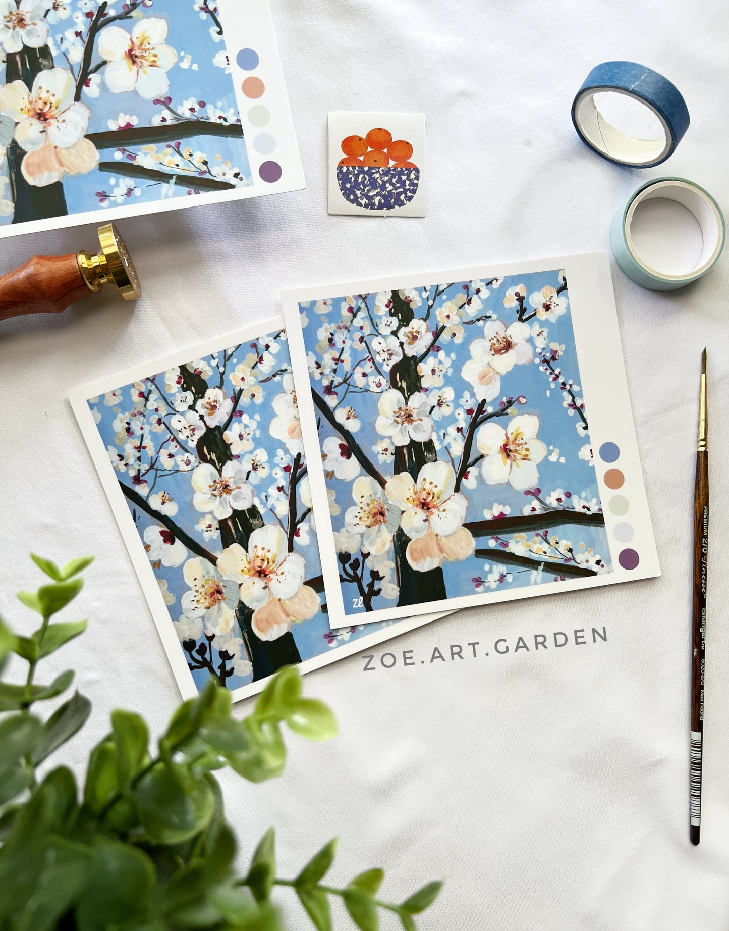 Cherry Blossom square postcards