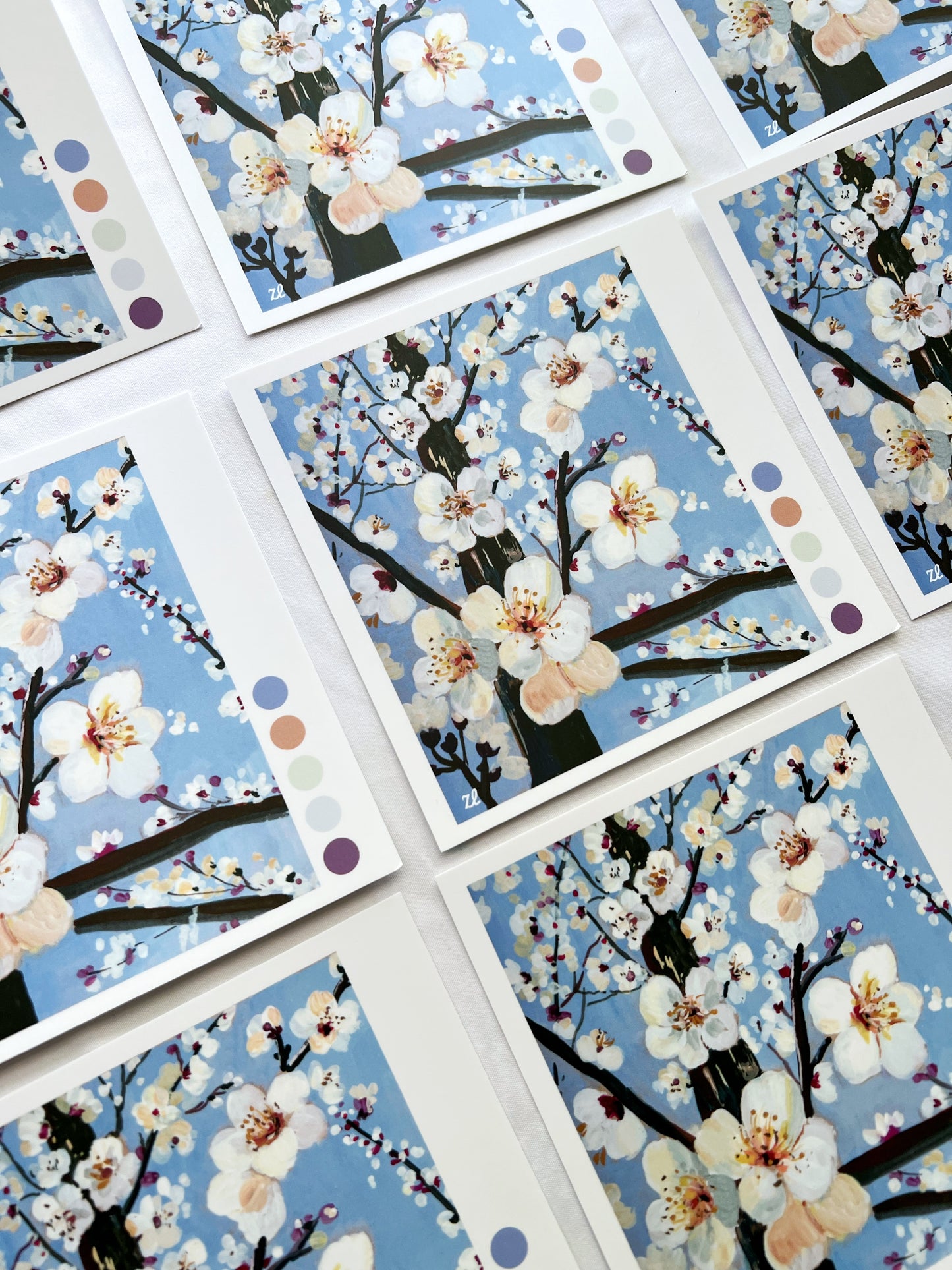 Cherry Blossom square postcards