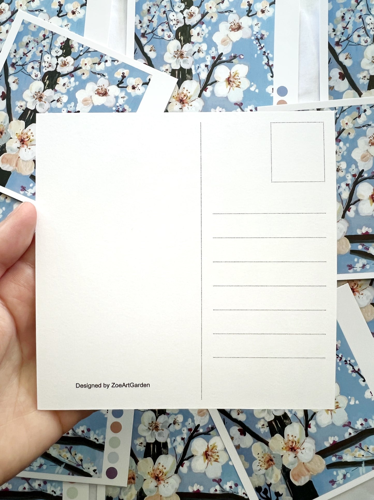 Cherry Blossom square postcards