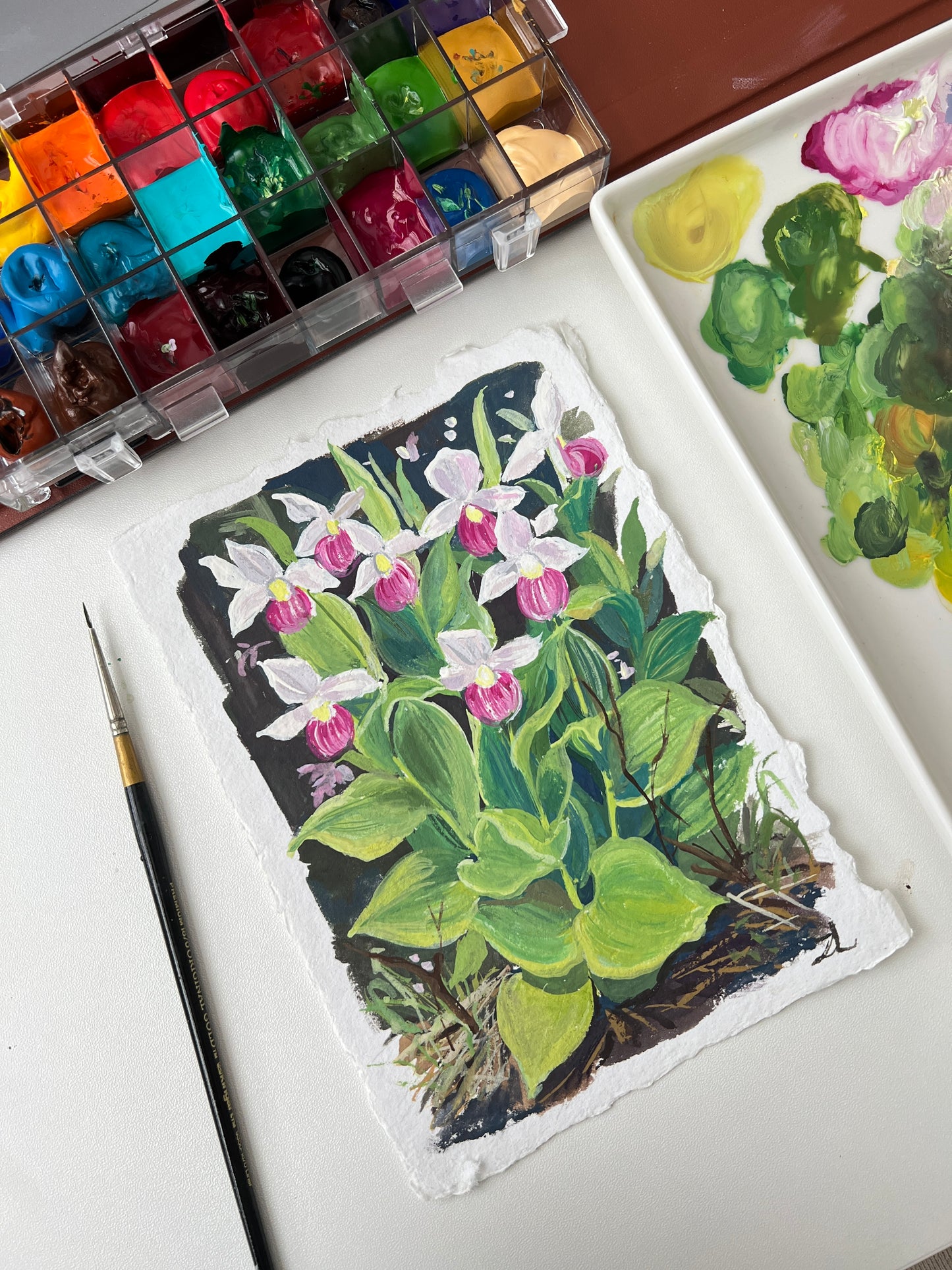 Pink Lady Slipper – Wild Orchid Flower Painting (5x7")