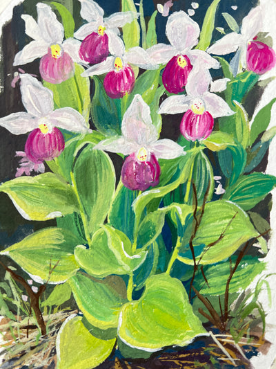 Pink Lady Slipper – Wild Orchid Flower Painting (5x7")