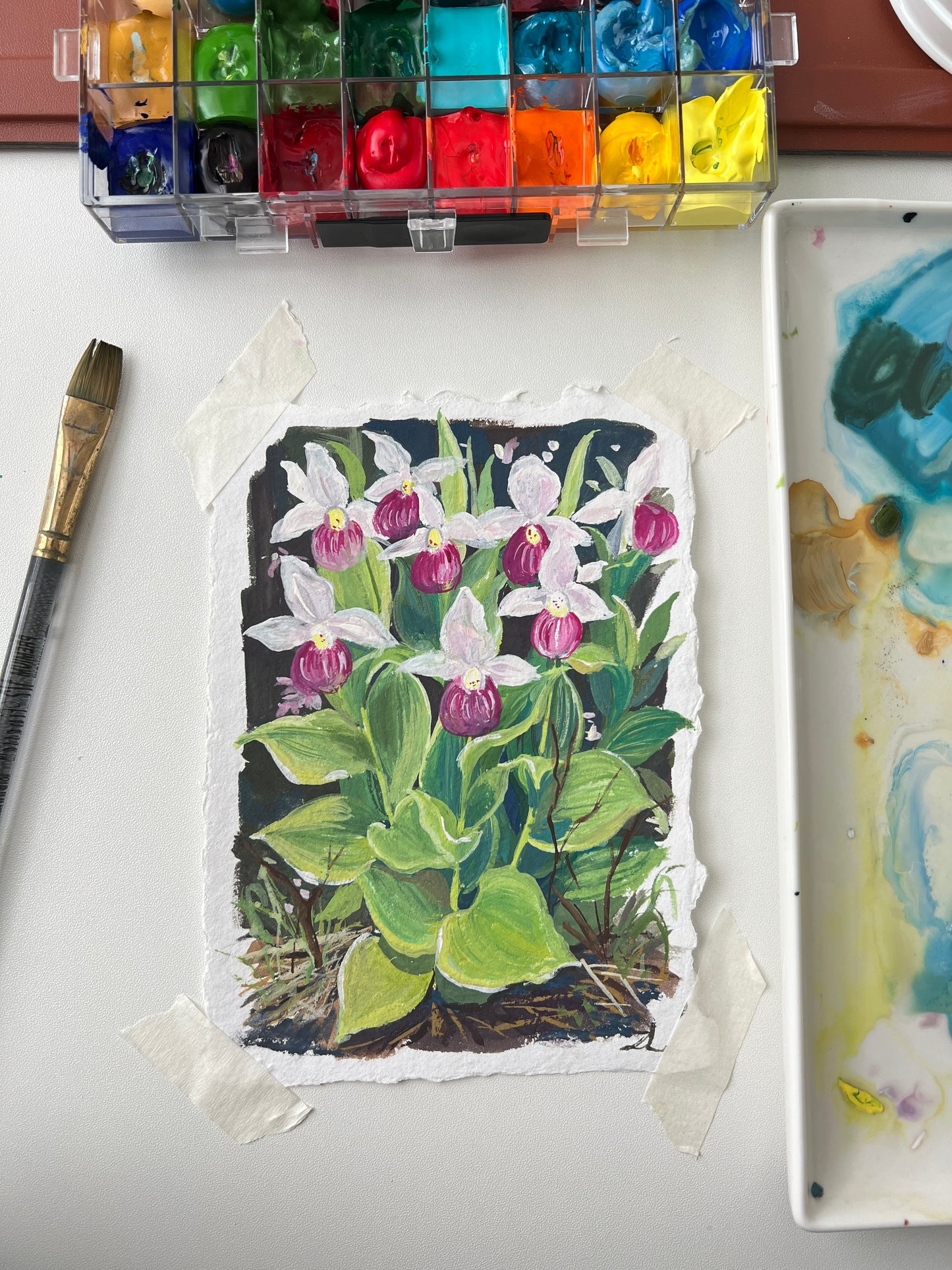 Pink Lady Slipper – Wild Orchid Flower Painting (5x7")