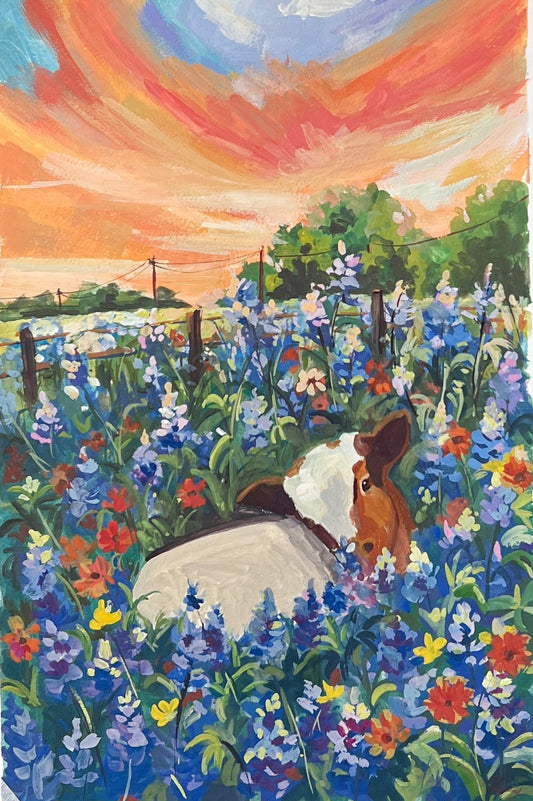 Cute Cow in Bluebonnet Field – Texas Sunset Artwork- 7x10"