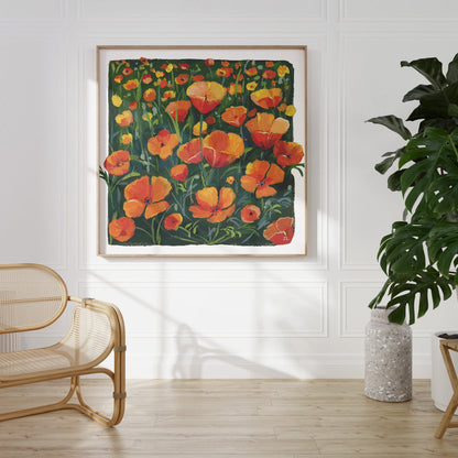 California Poppy Flower