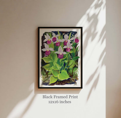 Pink Lady Slipper Orchid Art Print – Wildflower Series