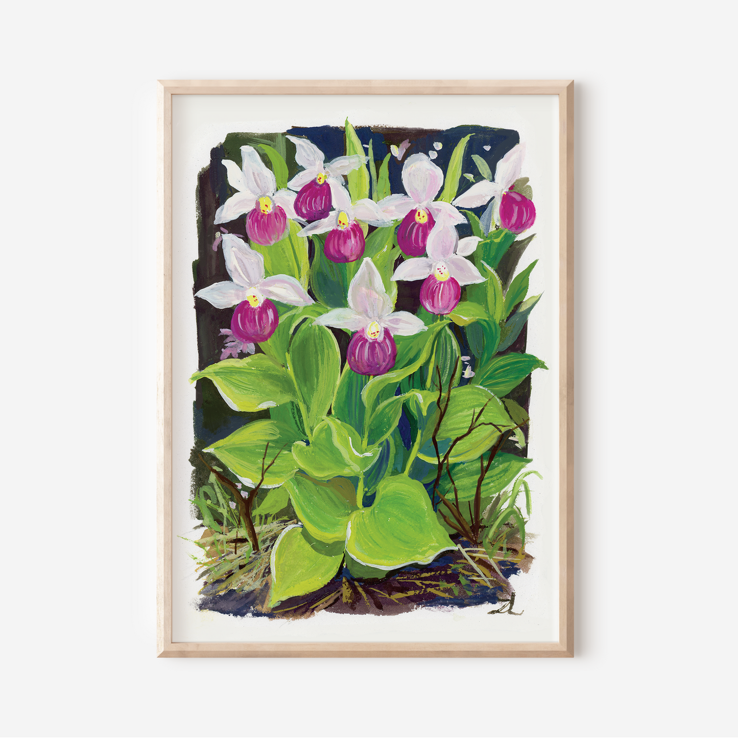 Pink Lady Slipper Orchid Art Print – Wildflower Series