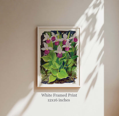 Pink Lady Slipper Orchid Art Print – Wildflower Series