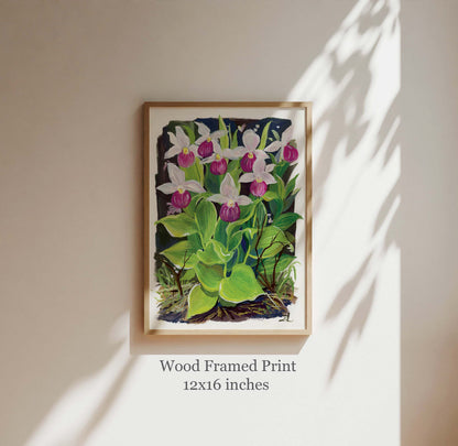 Pink Lady Slipper Orchid Art Print – Wildflower Series