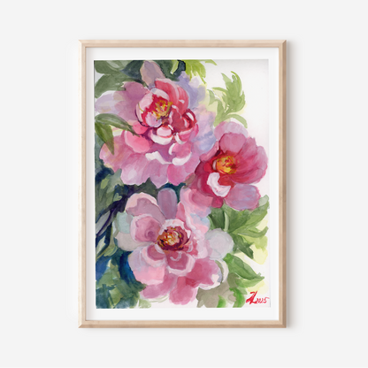 Peony Bloom – Flower Art Print