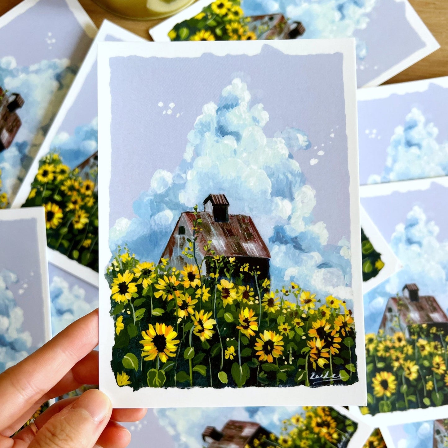 Sunflower field postcard with cloud sky 