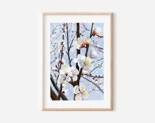 Cherry Blossom Art Print- Gouache art print