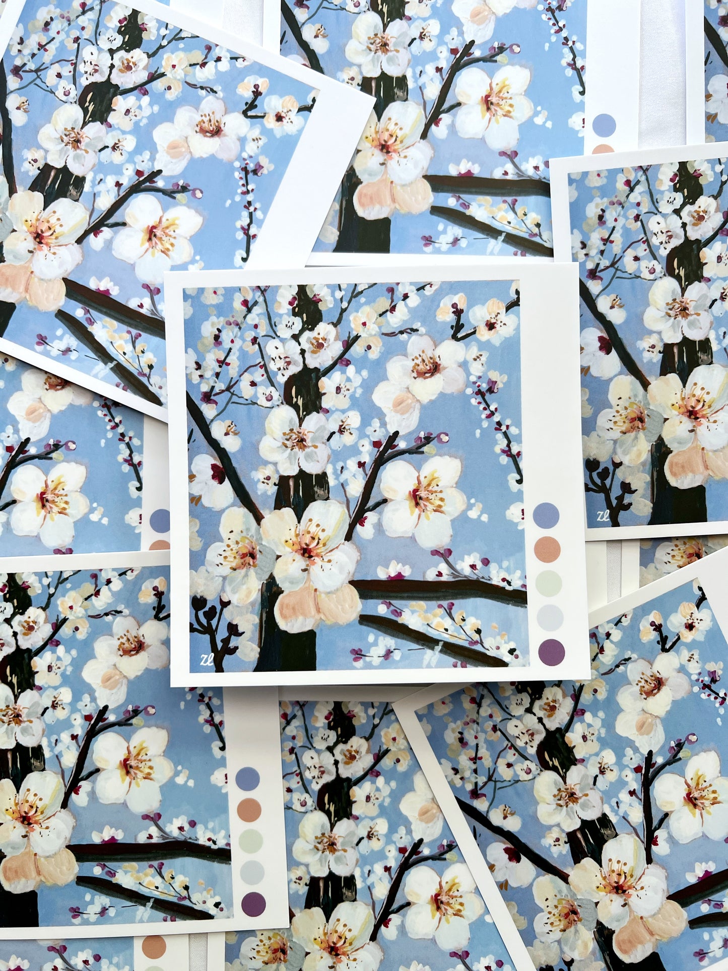 Cherry Blossom square postcards